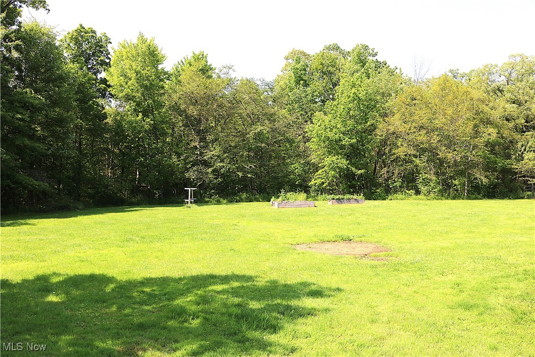 14485 Bass Lake Road Newbury, OH 44065 - Photo 5 of 22 View of grassy yard featuring a forest view