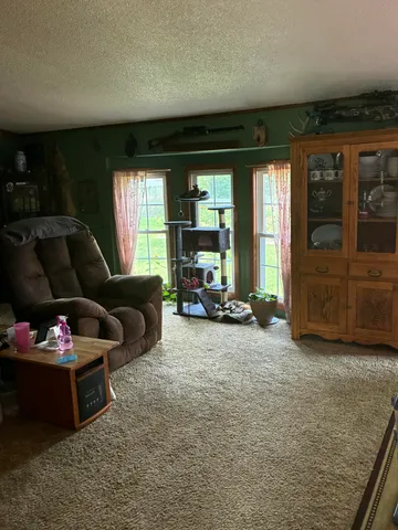 $275,999 | 1255 East Chickadee Lane, Luther, MI 49656