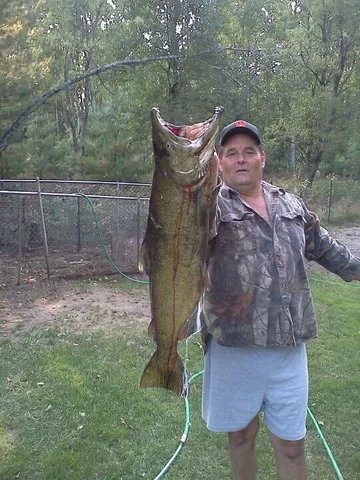 $275,999 | 1255 East Chickadee Lane, Luther, MI 49656