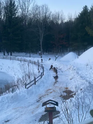 $275,999 | 1255 East Chickadee Lane, Luther, MI 49656