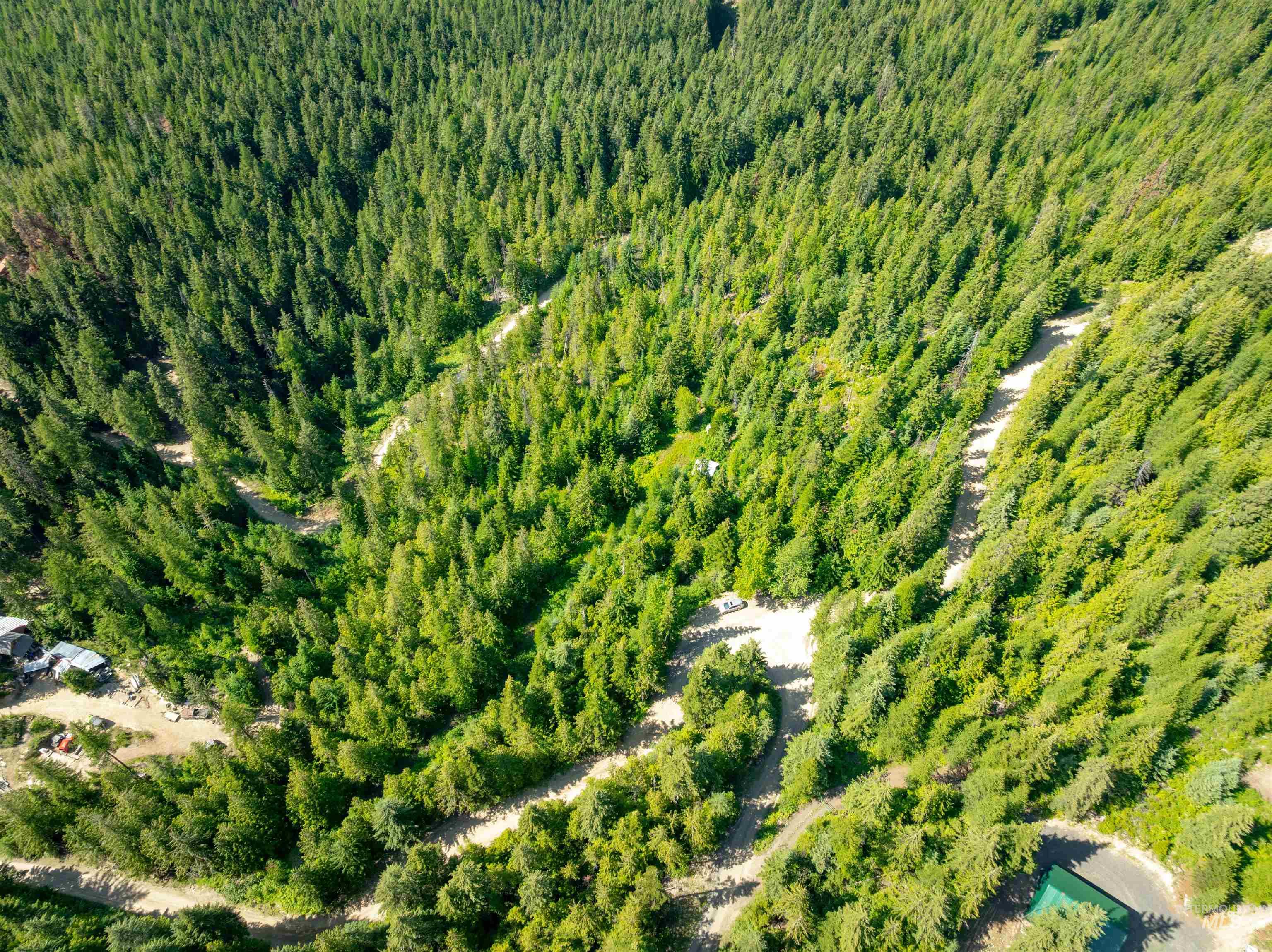 Drone / aerial view of a heavily wooded area