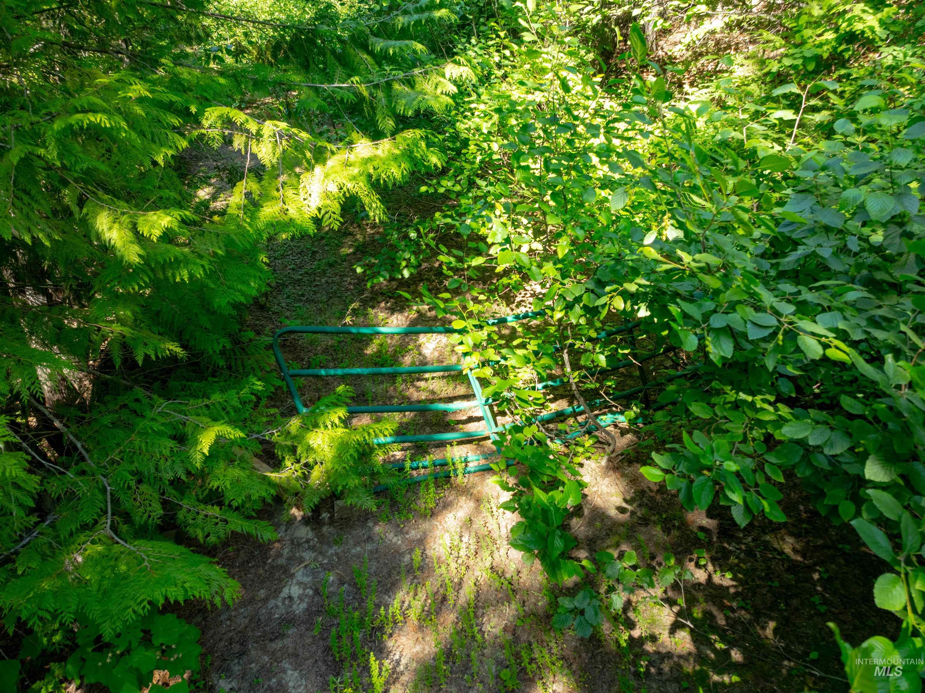 3176 Crystal Peak Road Fernwood, ID 83830 - Photo 7 of 14 Surrounding community