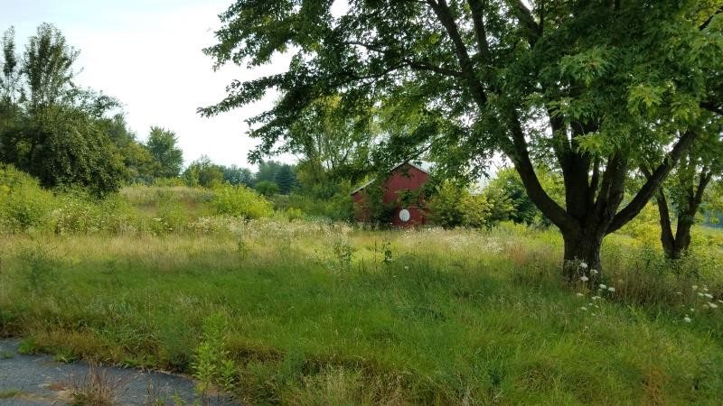 5030 Rotary Road Cherry Valley, IL 61016 - Photo 4 of 5 a view of a garden