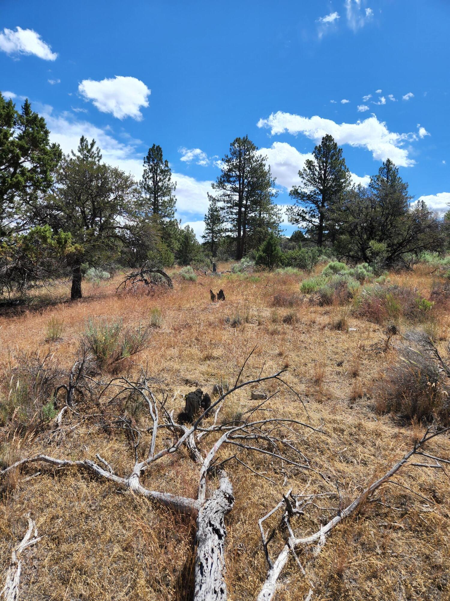 Lot 10 Quarry Circle Beatty, OR 97621 - Photo 11 of 12 Quarry L10