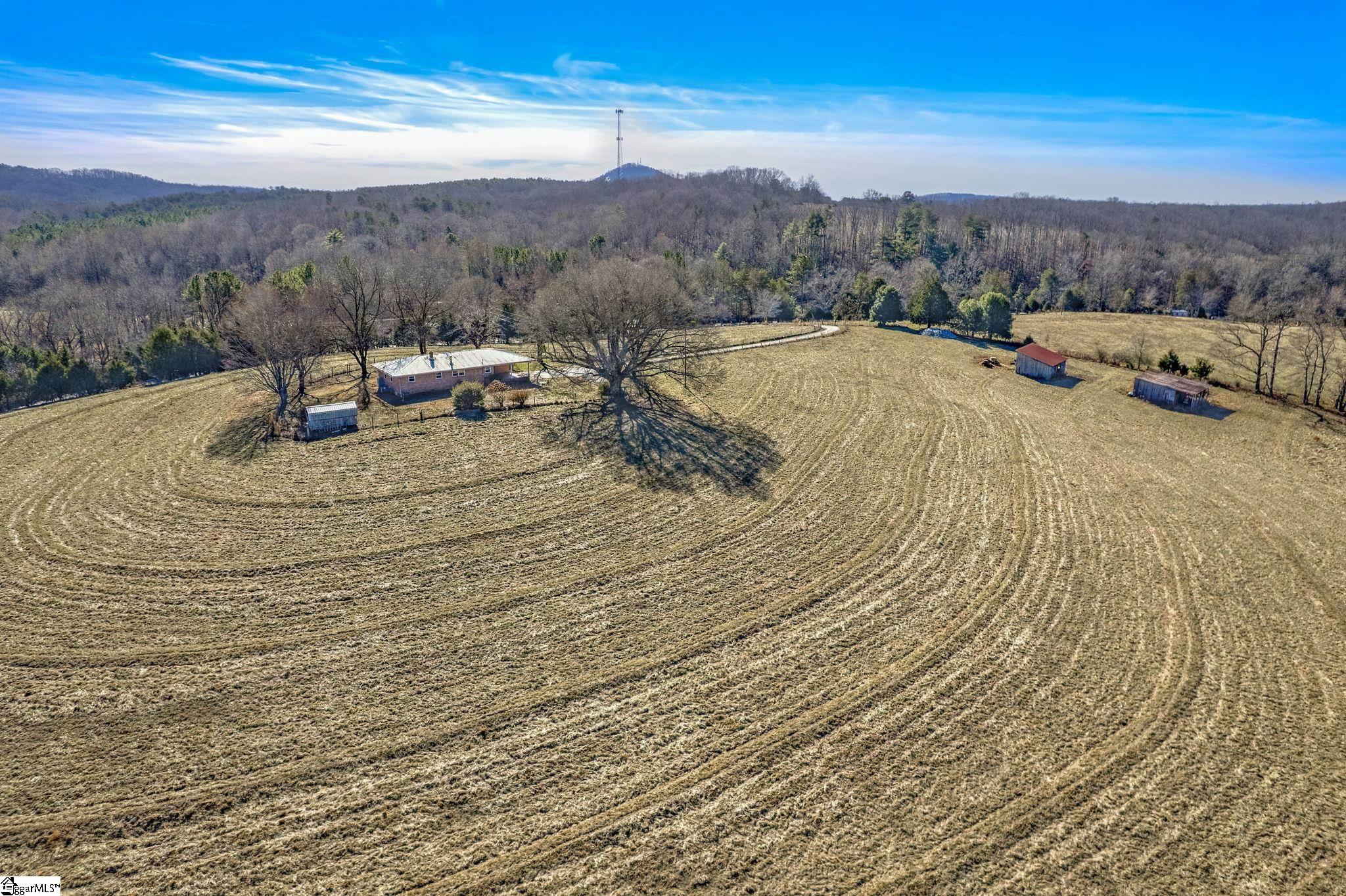 183 Mt Tabor Church Road Pickens, SC 29671 - Photo 3 of 36