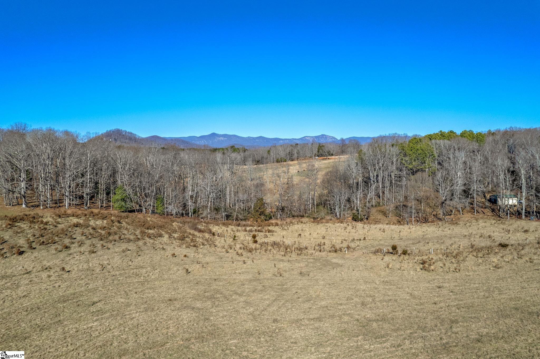183 Mt Tabor Church Road Pickens, SC 29671 - Photo 31 of 36