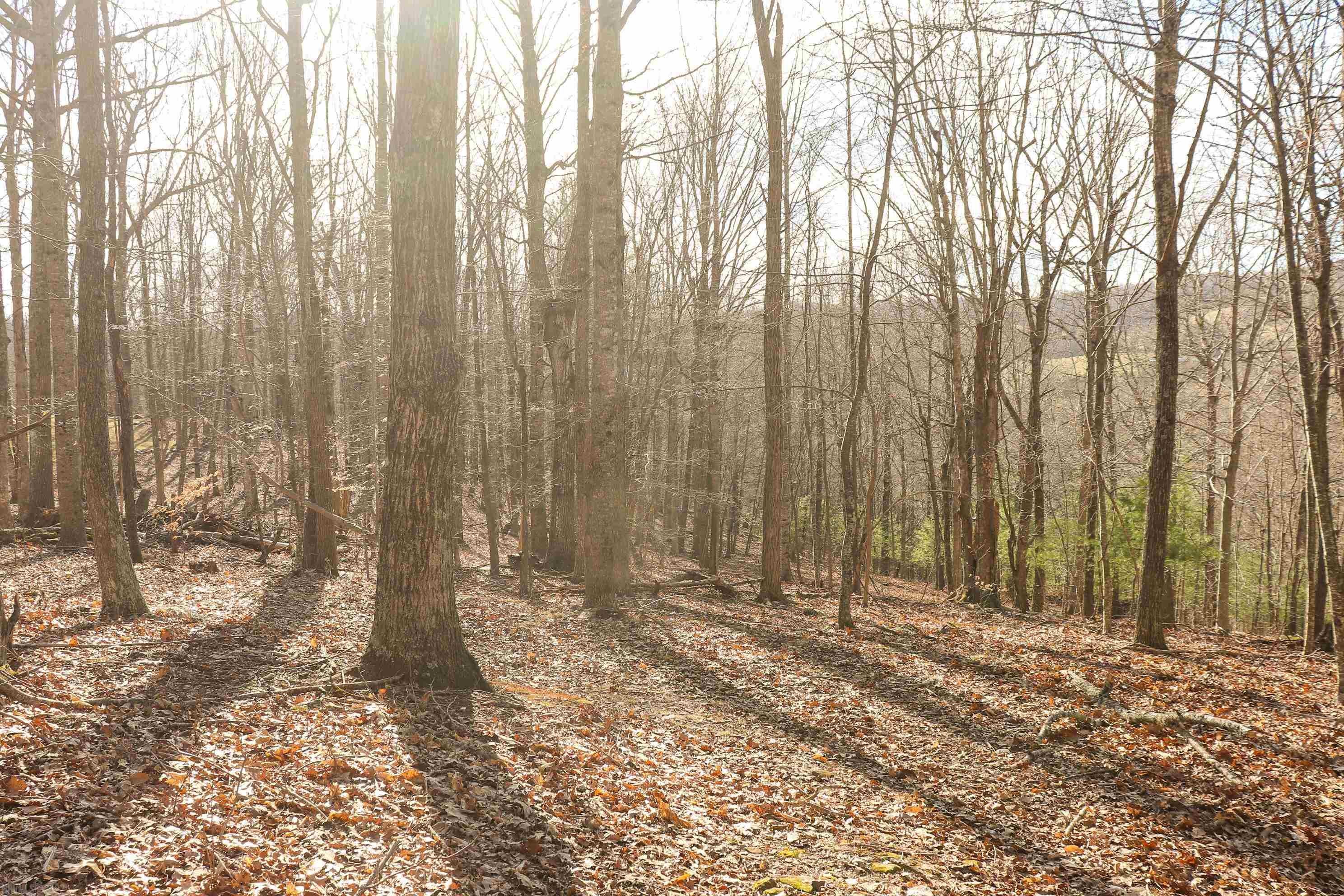 217 Cannadays Gap Road Southeast Floyd, VA 24091 - Photo 37 of 41 Gallery Image 37