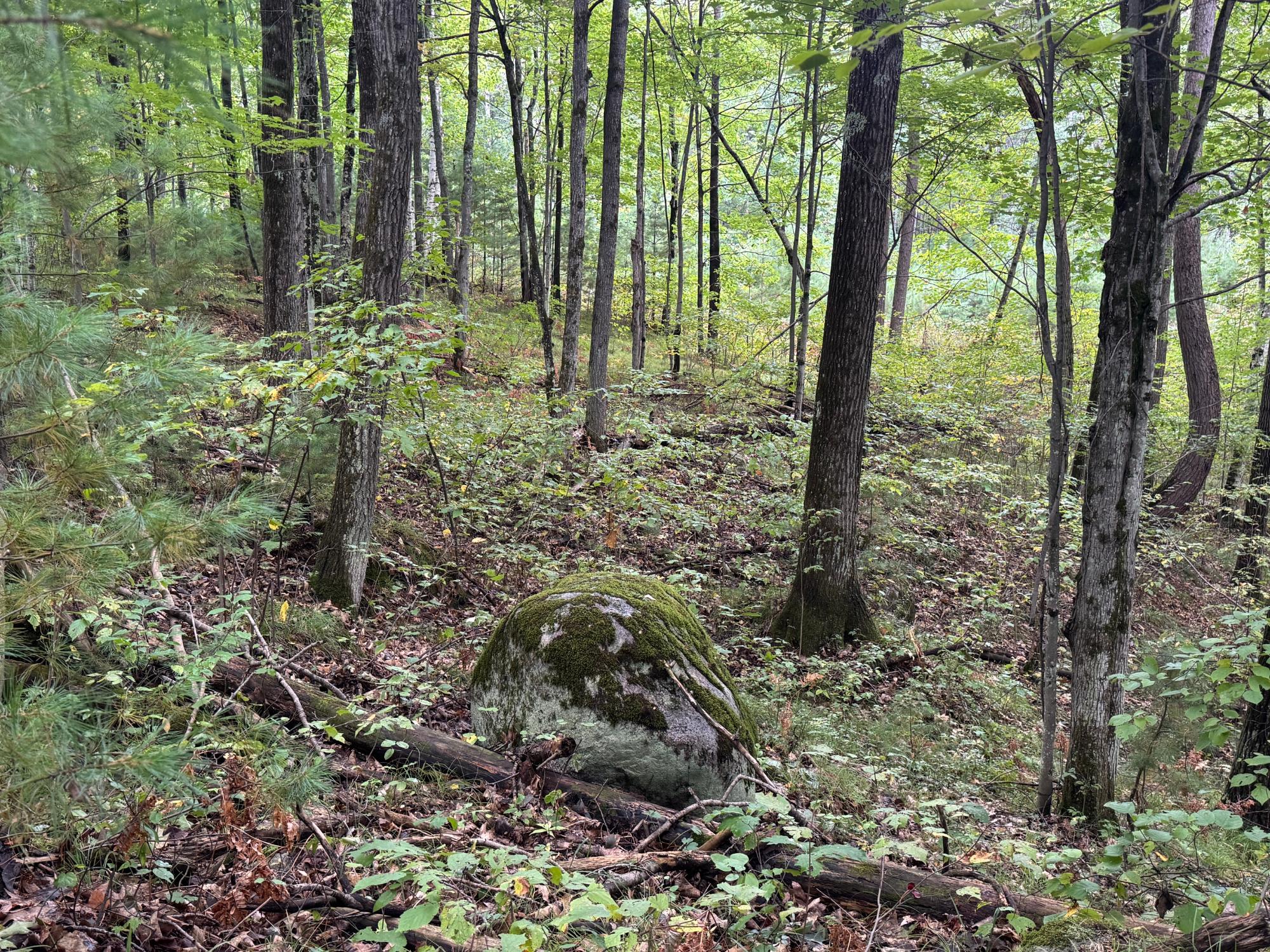 Lot #5 Sutton Road Minocqua, WI 54548 - Photo 14 of 15 Gallery Image 14
