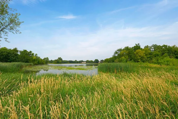 $500,000 | 11362 Hillcrest Drive North, Champlin, MN 55316