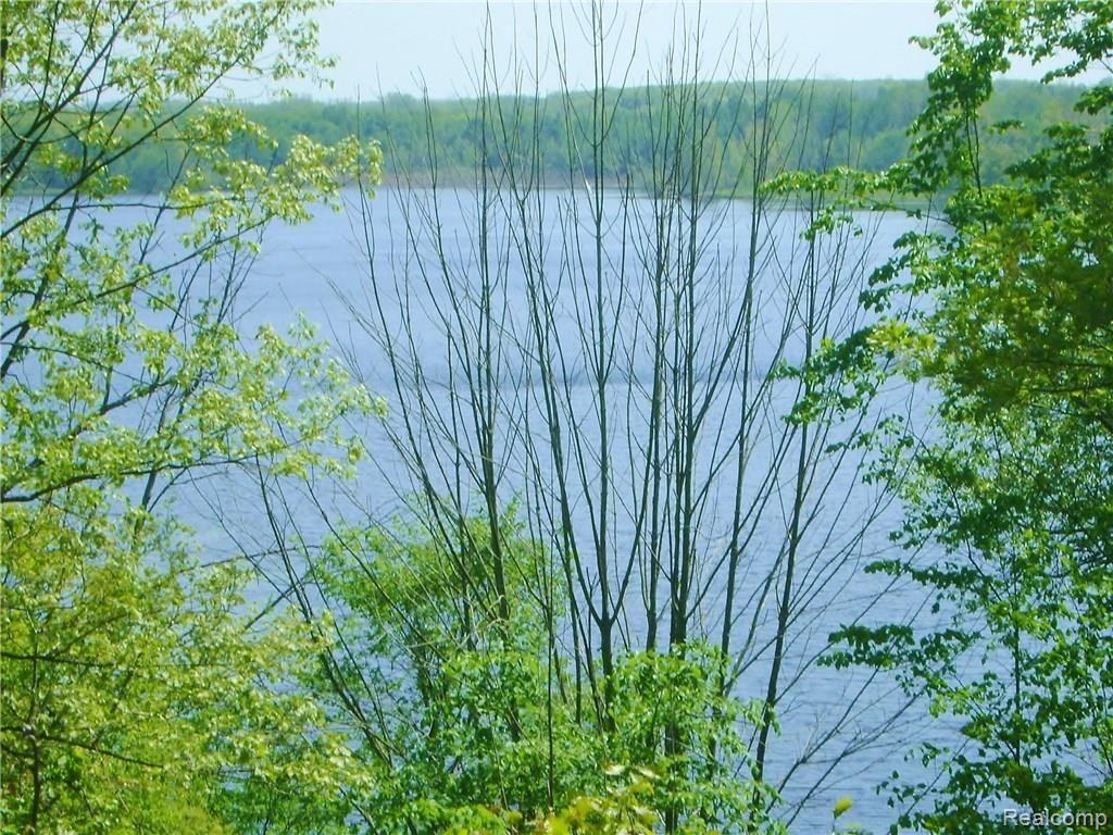5590 Big Fish Lake Road Goodrich, MI 48438 - Photo 18 of 46 DSC03364.JPG