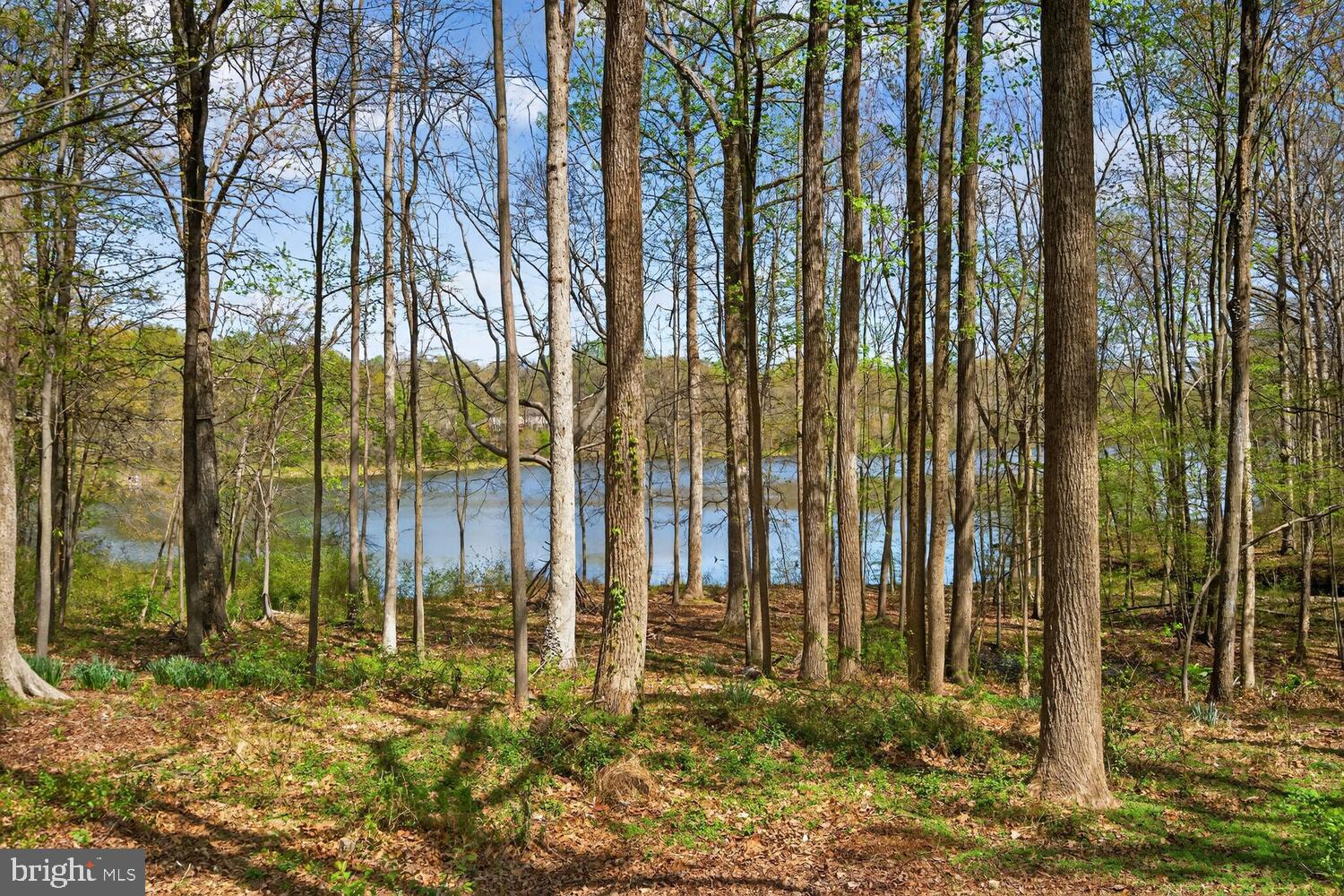 9217 Dorothy Lane Springfield, VA 22153 - Photo 55 of 58