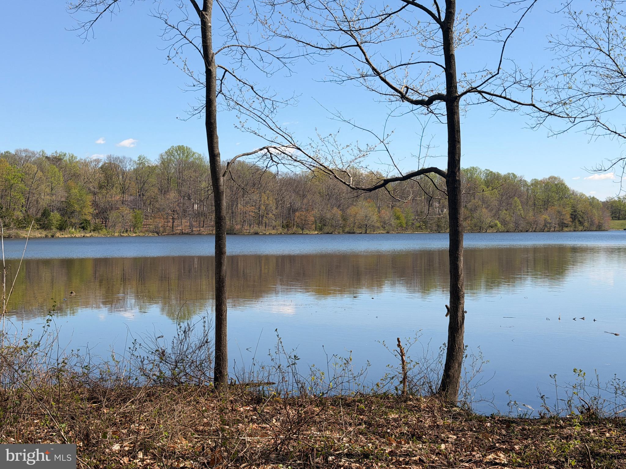 9217 Dorothy Lane Springfield, VA 22153 - Photo 56 of 58