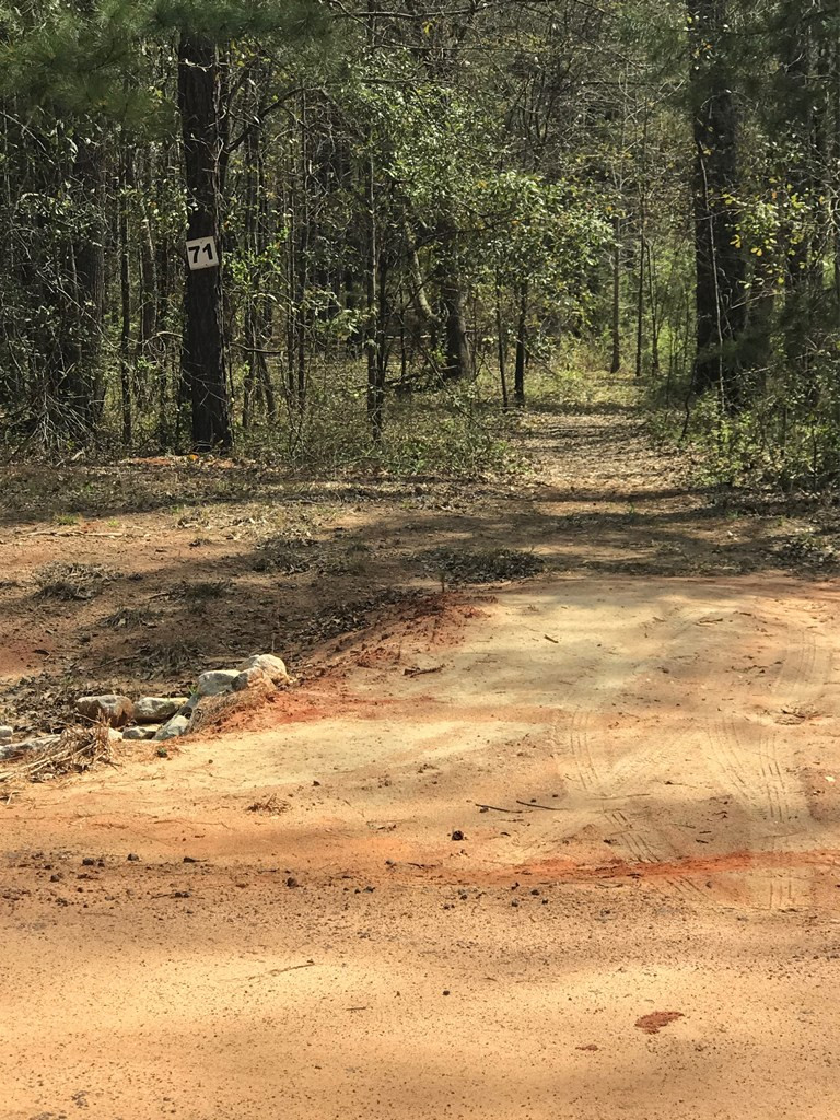 Lot 30 Stapleton Acres Drive Stapleton, GA 30823 - Photo 3 of 3