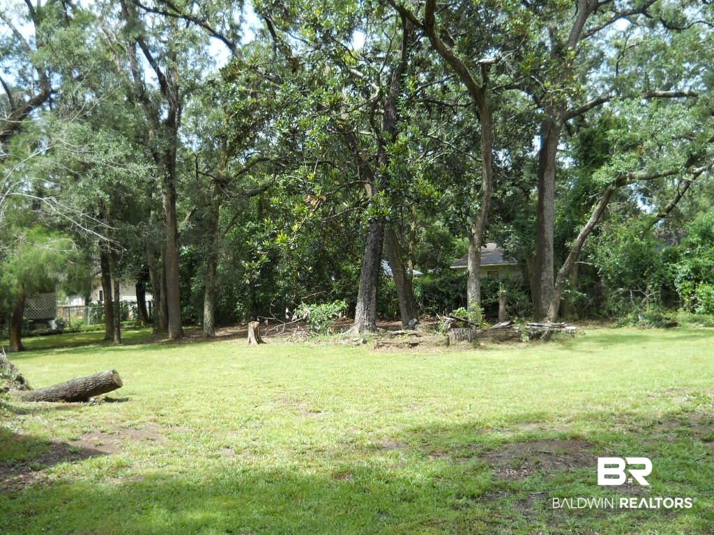 9213 Seabright Avenue Elberta, AL 36530 - Photo 5 of 9 Back yard