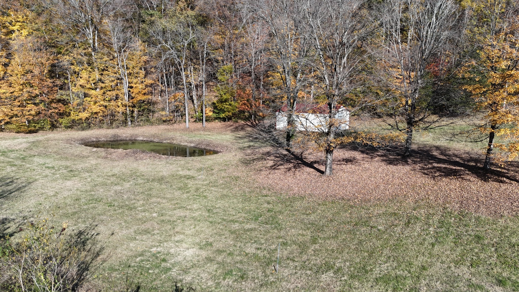 103 Morris Road Westmoreland, TN 37186 - Photo 2 of 13 Gallery Image 2