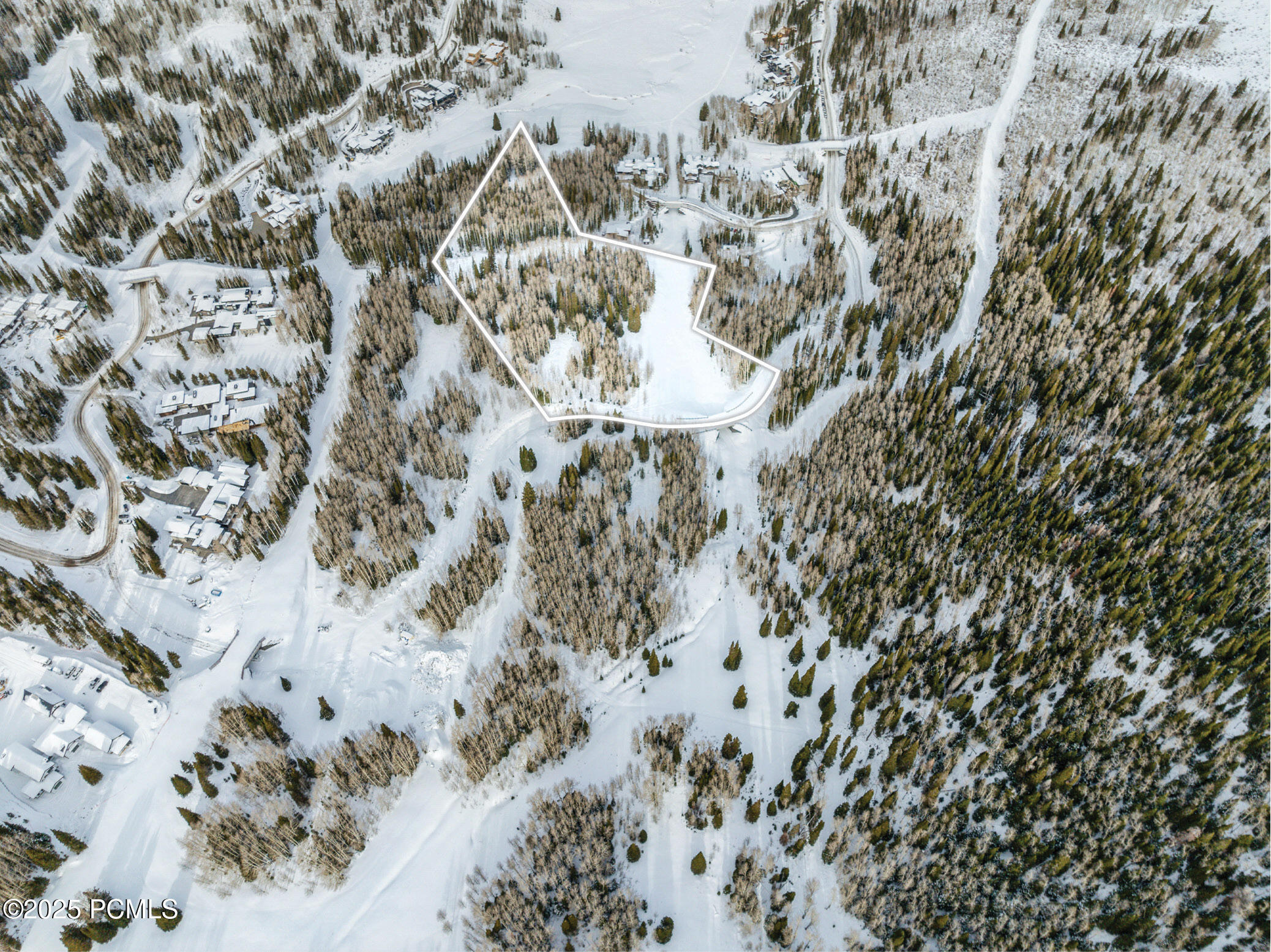 276 White Pne Cyn Road Park City, UT 84060 - Photo 10 of 13