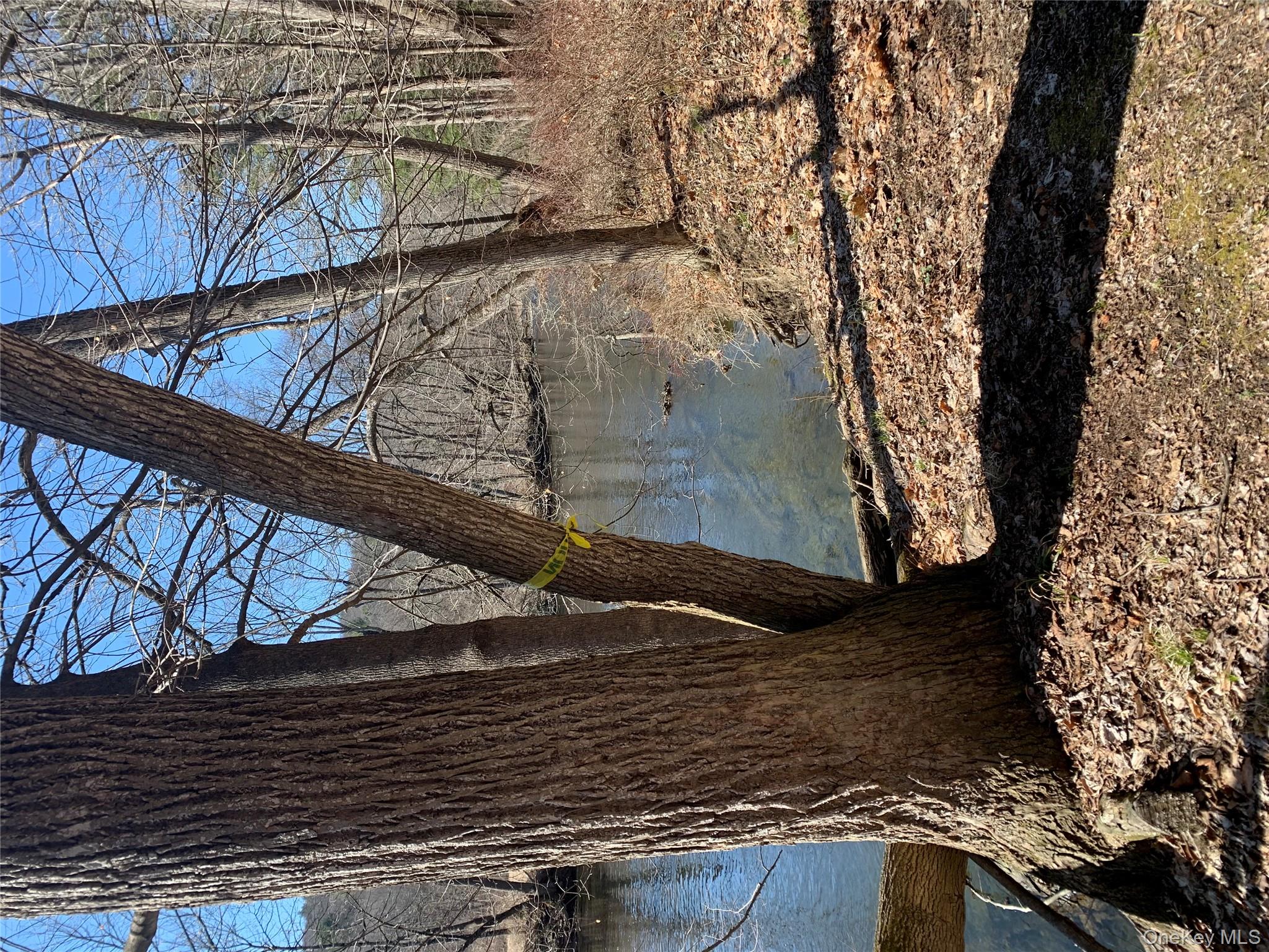 Jackson Corners Road Red Hook, NY 12571 - Photo 1 of 2