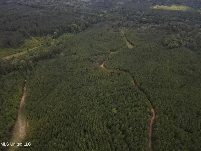 $1,185,600 | Airport Lane Road, Crosby, MS 39633