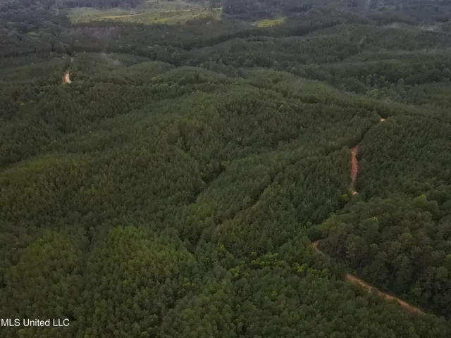 $1,185,600 | Airport Lane Road, Crosby, MS 39633