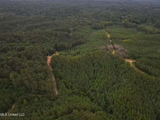 $1,185,600 | Airport Lane Road, Crosby, MS 39633