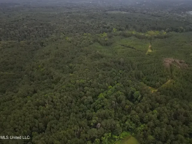 $1,185,600 | Airport Lane Road, Crosby, MS 39633