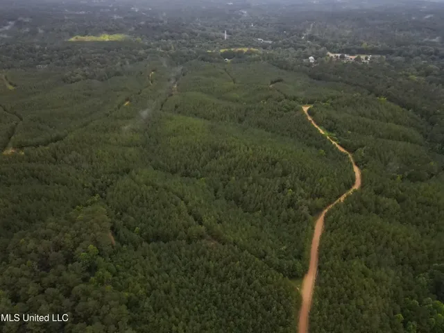 $1,185,600 | Airport Lane Road, Crosby, MS 39633