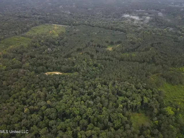 $1,185,600 | Airport Lane Road, Crosby, MS 39633