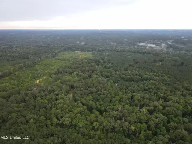 $1,185,600 | Airport Lane Road, Crosby, MS 39633