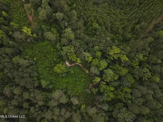 $1,185,600 | Airport Lane Road, Crosby, MS 39633