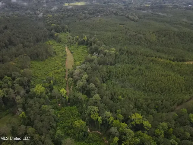 $1,185,600 | Airport Lane Road, Crosby, MS 39633