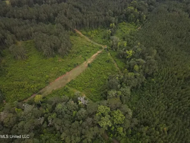 $1,185,600 | Airport Lane Road, Crosby, MS 39633