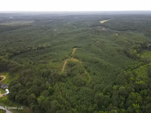 $1,185,600 | Airport Lane Road, Crosby, MS 39633