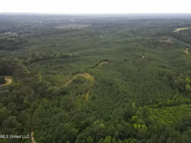 $1,185,600 | Airport Lane Road, Crosby, MS 39633