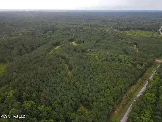 $1,185,600 | Airport Lane Road, Crosby, MS 39633