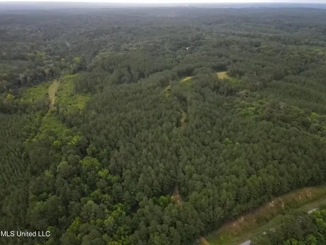 $1,185,600 | Airport Lane Road, Crosby, MS 39633