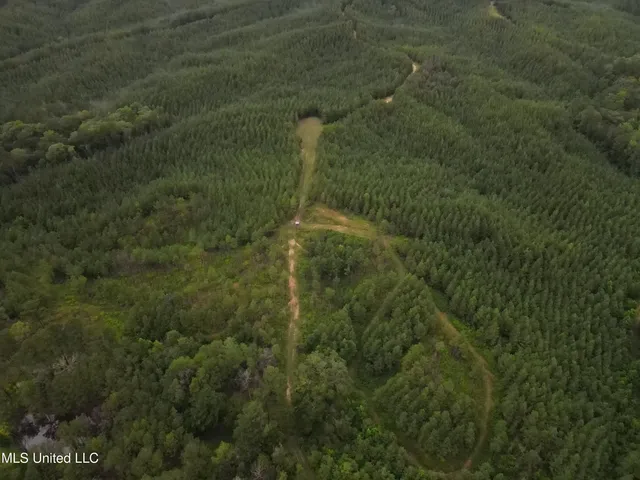 $1,185,600 | Airport Lane Road, Crosby, MS 39633