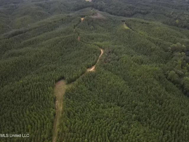 $1,185,600 | Airport Lane Road, Crosby, MS 39633