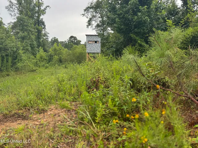 $1,185,600 | Airport Lane Road, Crosby, MS 39633