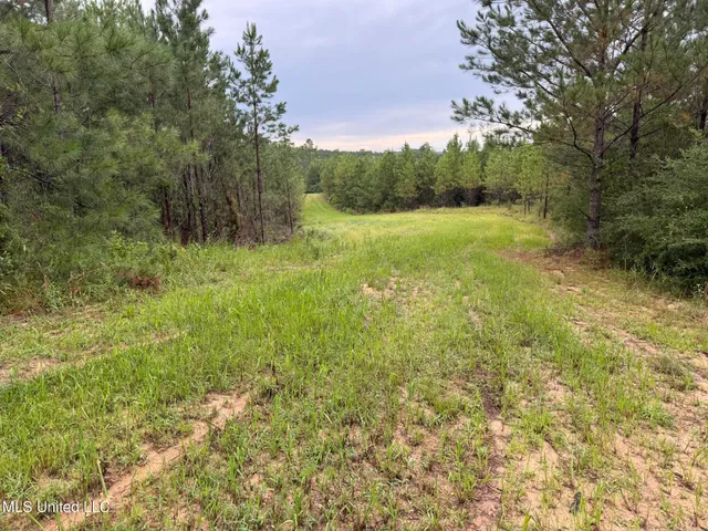 $1,185,600 | Airport Lane Road, Crosby, MS 39633