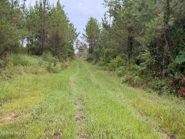 $1,185,600 | Airport Lane Road, Crosby, MS 39633