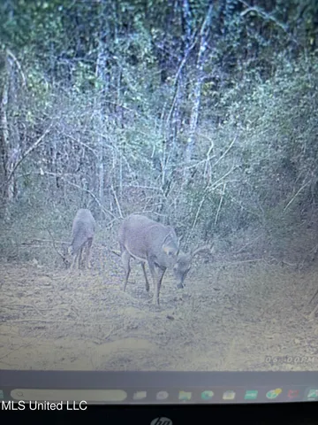 $1,185,600 | Airport Lane Road, Crosby, MS 39633