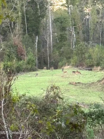 $1,185,600 | Airport Lane Road, Crosby, MS 39633