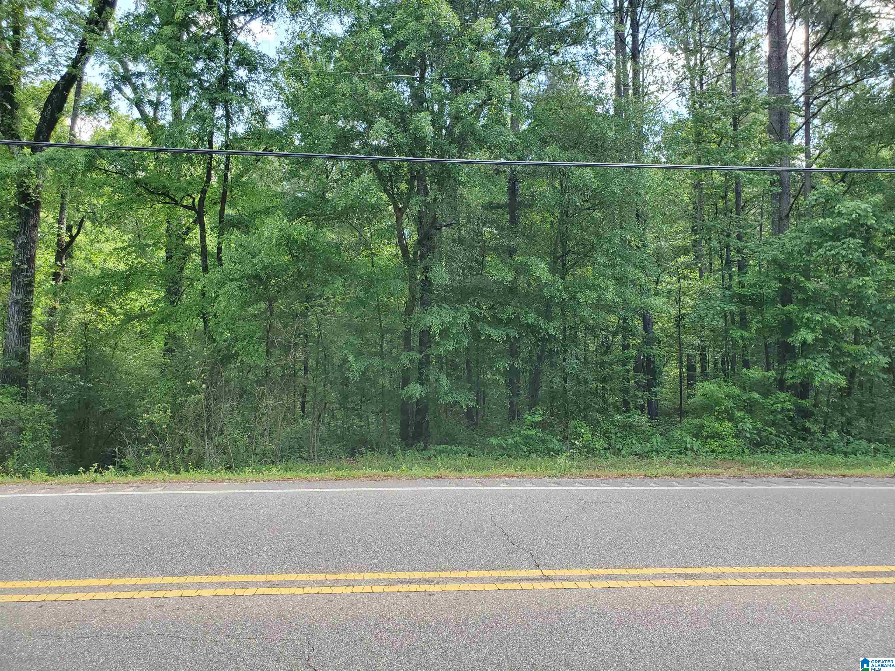 0 Chelsea Road Columbiana, AL 35051 - Photo 2 of 17