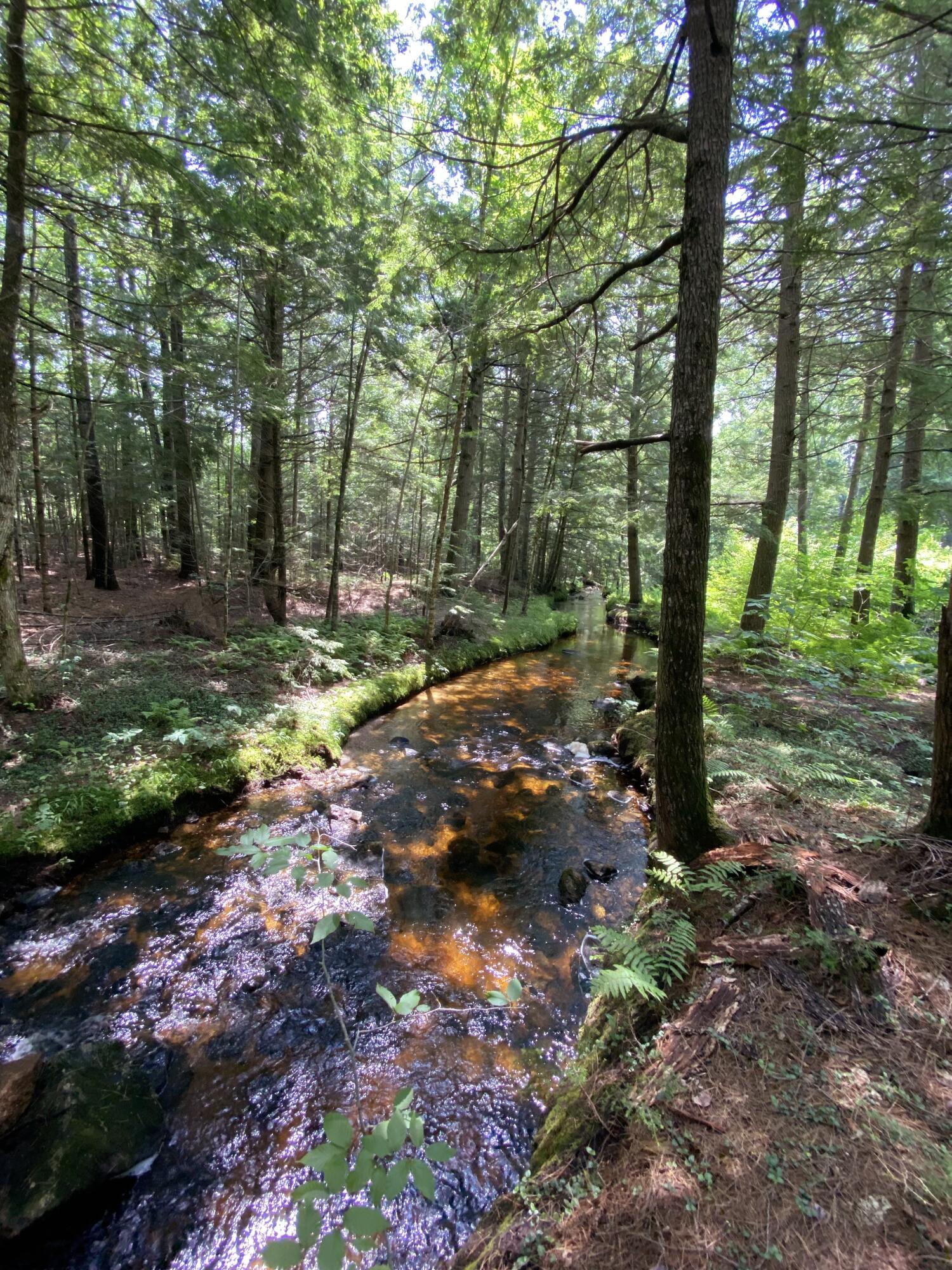 167 Valley Road Waterford, ME 04088 - Photo 26 of 29 IMG_2377
