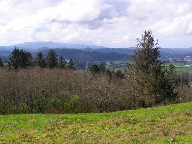 Lot 25 Skyview Road Tillamook, OR 97141 - Photo 7 of 21 P3180331.JPG