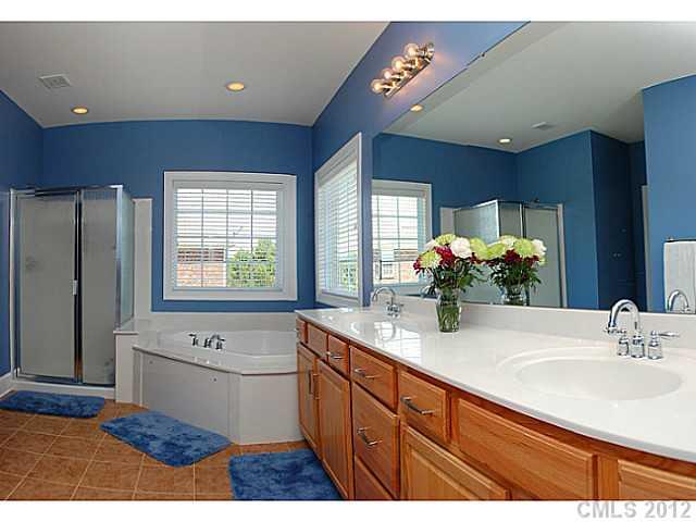 11241 Wheat Ridge Road Charlotte, NC 28277 - Photo 12 of 16 Gallery Image 12