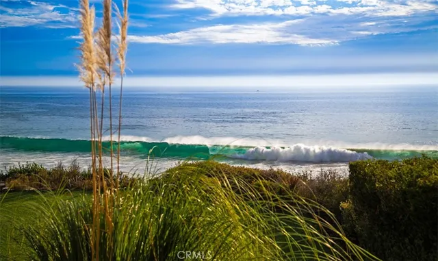 a view of a yard with an outdoor space