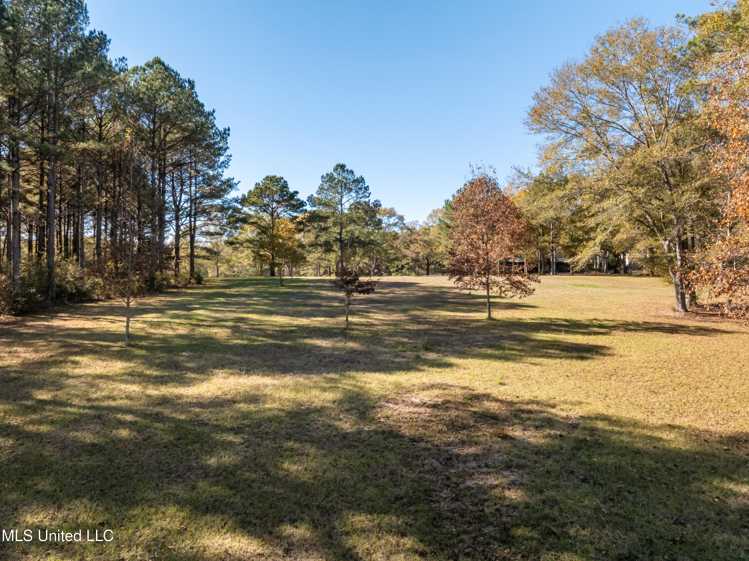 5844 North Williamsburg Road Bassfield, MS 39421 - Photo 86 of 105 5844_N_Williamsburg_Rd-76