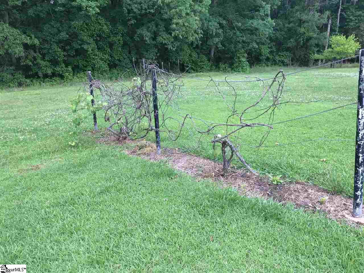 1161 Old Dacusville Road Easley, SC 29640 - Photo 25 of 28