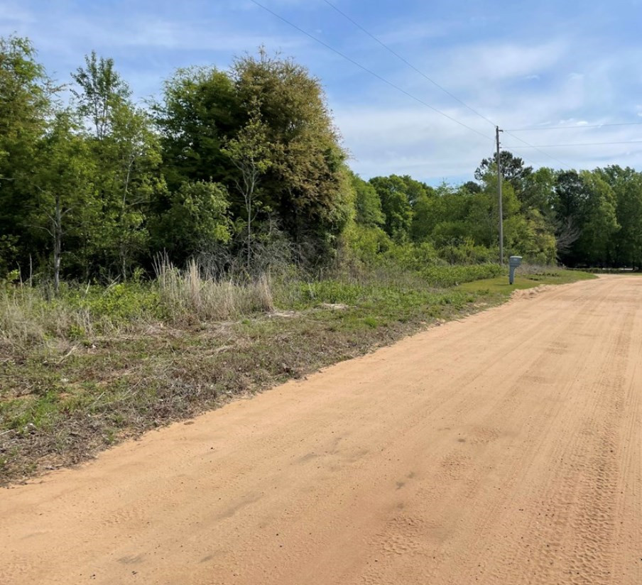 Tbd Goslin Pond Road Summerton, SC 29148 - Photo 3 of 4 Gallery Image 3